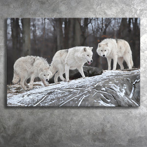 White Wolf Canvas Prints Wall Art Decor - Painting Canvas,Home Decor, Ready to Hang