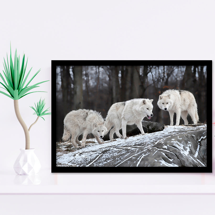 White Wolf Framed Art Prints Wall Art Decor, Framed Picture, Home Decor