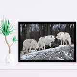 White Wolf Framed Art Prints Wall Art Decor, Framed Picture, Home Decor