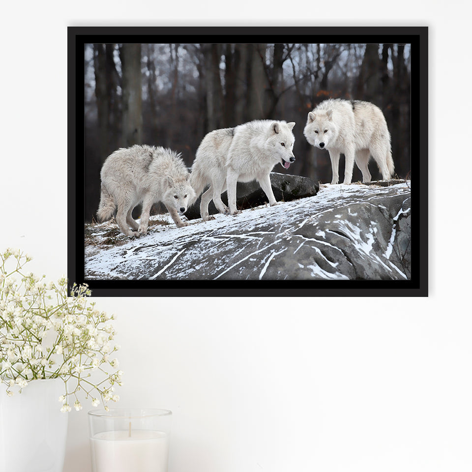 White Wolf Framed Canvas Prints Wall Art Decor, Framed Picture, Floating Frame