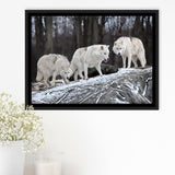 White Wolf Framed Canvas Prints Wall Art Decor, Framed Picture, Floating Frame