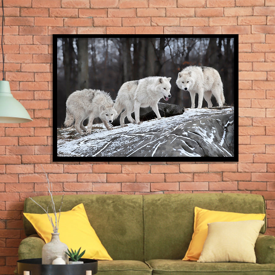 White Wolf Framed Art Prints Wall Art Decor, Framed Picture, Home Decor