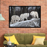 White Wolf Framed Art Prints Wall Art Decor, Framed Picture, Home Decor