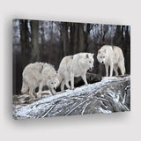 White Wolf Canvas Prints Wall Art Decor - Painting Canvas,Home Decor, Ready to Hang