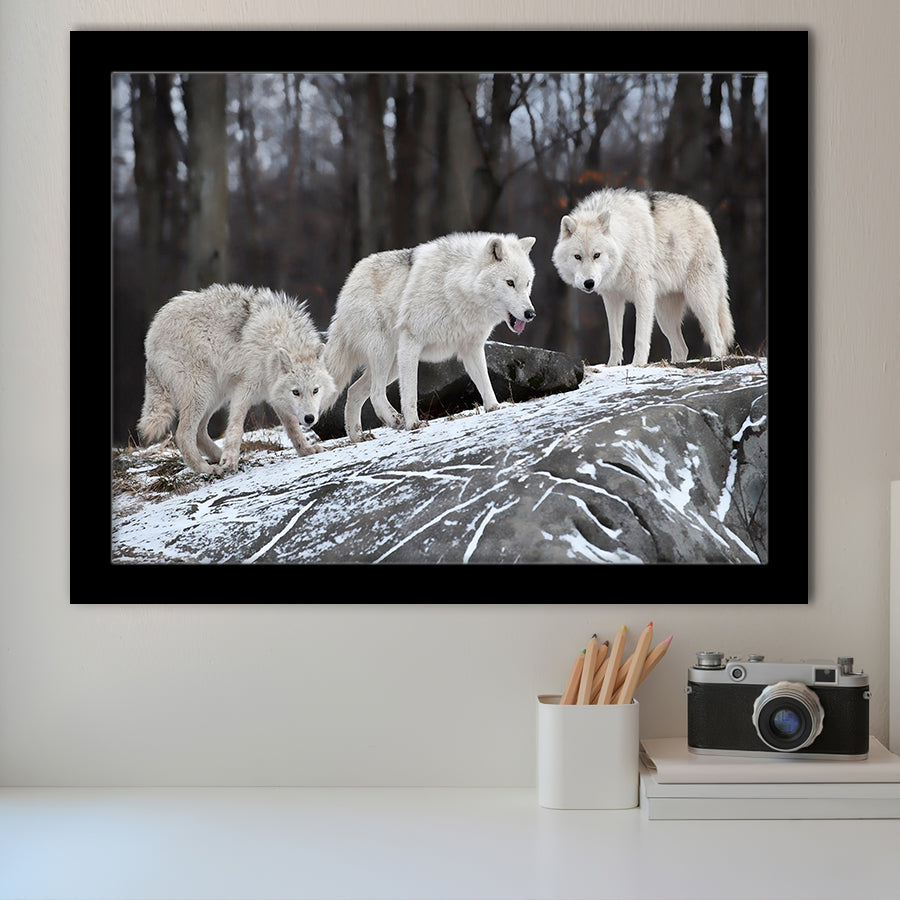 White Wolf Framed Art Prints Wall Art Decor, Framed Picture, Home Decor