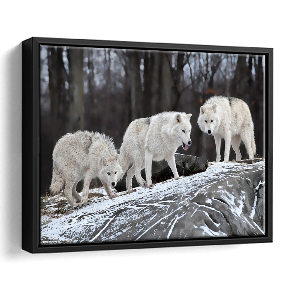 White Wolf Framed Canvas Prints Wall Art Decor, Framed Picture, Floating Frame