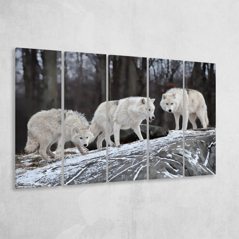 White Wolf 5 Piece B Canvas Prints Wall Art, Multi Panels,Large Canvas