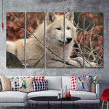 White Forest Wolf 5 Pieces B Canvas Prints Wall Art - Painting Canvas, Multi Panels,5 Panel, Wall Decor