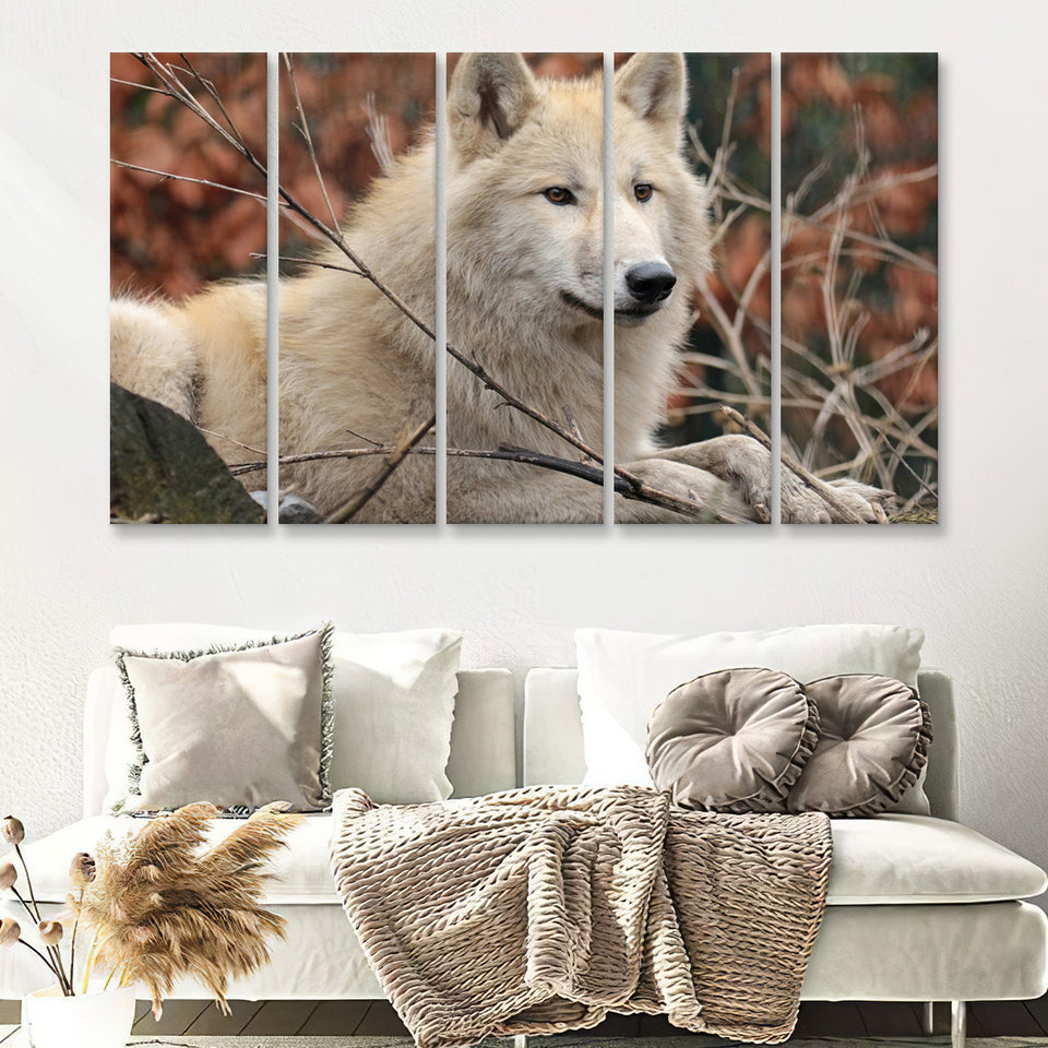 White Forest Wolf 5 Pieces B Canvas Prints Wall Art - Painting Canvas, Multi Panels,5 Panel, Wall Decor