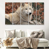 White Forest Wolf 5 Pieces B Canvas Prints Wall Art - Painting Canvas, Multi Panels,5 Panel, Wall Decor