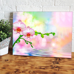 White Orchid Canvas Wall Art - Canvas Prints, Prints for Sale, Canvas Painting, Canvas On Sale