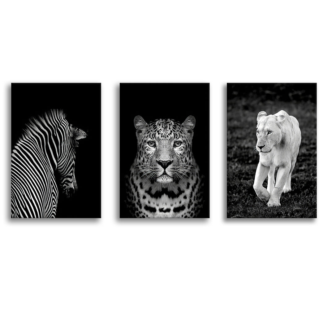 Wild Animals Stylish Black White Canvas Prints 3 Pieces Wall Art