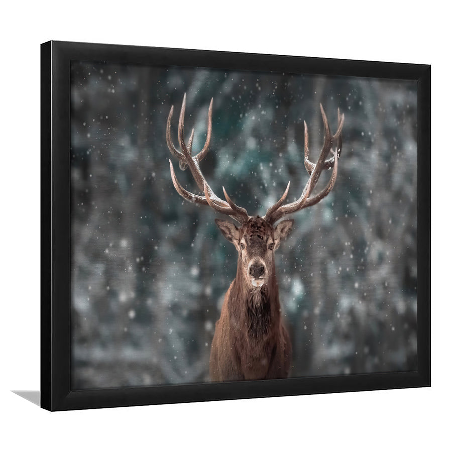 Wild Deer Buck In Forest Stag Animal Nature Landscape Framed Art Print –  UnixCanvas