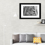 Wild Lion in Black and White-Canvas art,Art print,Frame art