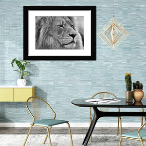 Wild Lion in Black and White-Canvas art,Art print,Frame art