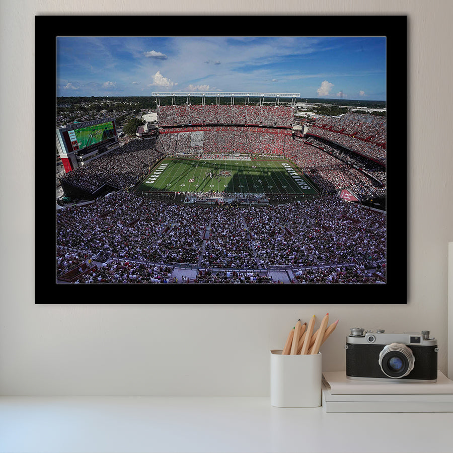 William Brice Stadium, Stadium Canvas, Sport Art, Gift for him, Framed Art Prints Wall Art Decor, Framed Picture
