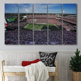 William Brice Stadium, Stadium Canvas, Sport Art, Gift for him, Multi Panels B, Canvas Prints Wall Art Decor