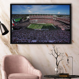 William Brice Stadium, Stadium Canvas, Sport Art, Gift for him, Framed Canvas Prints Wall Art Decor, Framed Picture