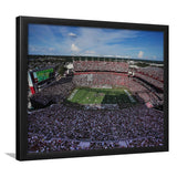 William Brice Stadium, Stadium Canvas, Sport Art, Gift for him, Framed Art Prints Wall Art Decor, Framed Picture
