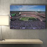 William Brice Stadium, Stadium Canvas, Sport Art, Gift for him, Fan Gift, Canvas Prints Wall Art Decor