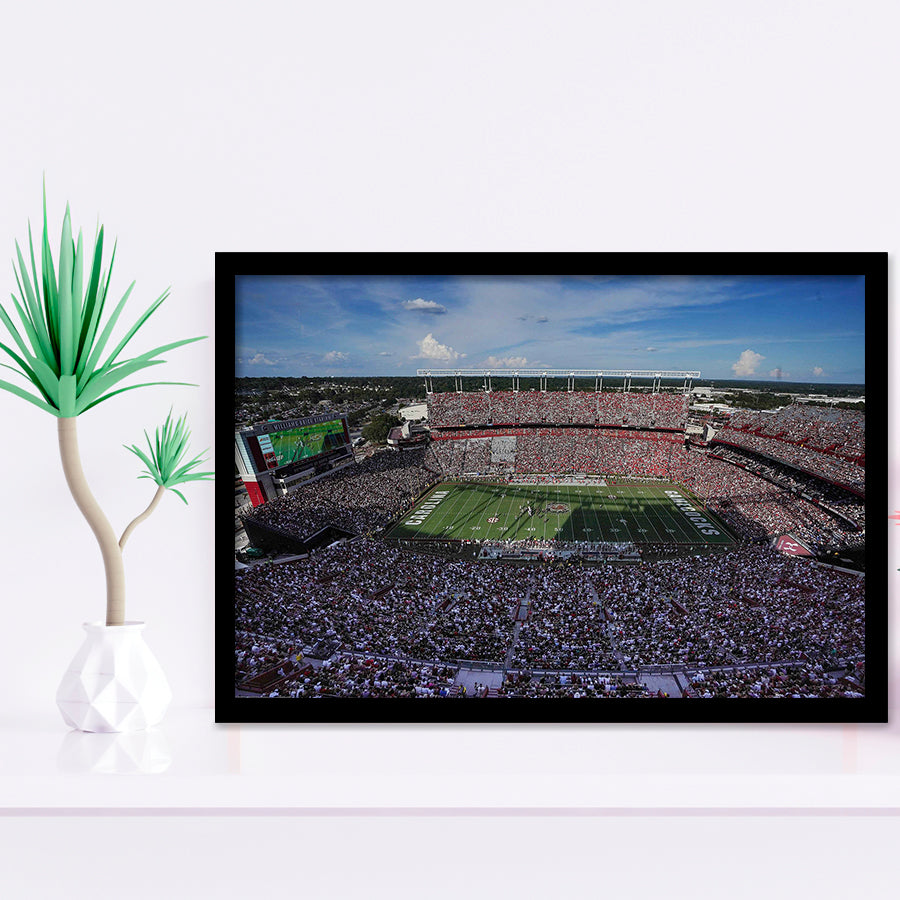 William Brice Stadium, Stadium Canvas, Sport Art, Gift for him, Framed Art Prints Wall Art Decor, Framed Picture