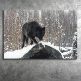 Winter Black Wolf In Forest Snow Canvas Prints Wall Art - Painting Canvas, Wall Decor, Canvas Art, For Sale