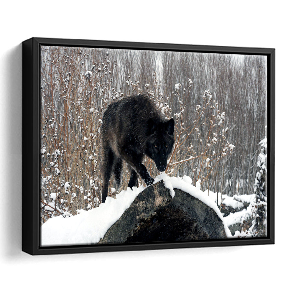 Winter Black Wolf In Forest Snow Framed Canvas Prints Wall Art - Painting Canvas, Wall Decor, Canvas Art, Floating Frame