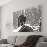 Winter Black Wolf In Forest Snow Canvas Prints Wall Art - Painting Canvas, Wall Decor, Canvas Art, For Sale