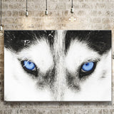 Wolfs Blue Eyes Canvas Prints Wall Art - Painting Canvas, Art Prints, Wall Decor, Home Decor, Prints for Sale