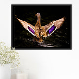 Wood Duck Hunting Framed Canvas Prints Wall Art - Painting Canvas, Wall Decor, Floating Frame,Painting Prints, For Sale
