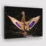 Wood Duck Hunting Canvas Prints Wall Art - Painting Canvas, Home Wall Decor, Painting Prints, For Sale