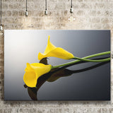 Yellow Isolated Lilies Canvas Prints Wall Art - Canvas Painting, Painting Art, Prints for Sale, Wall Decor, Home Decor