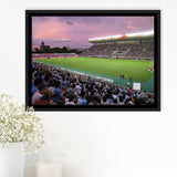 Yodoko Sakura Stadium, Stadium Canvas, Sport Art, Gift for him, Framed Canvas Prints Wall Art Decor, Framed Picture