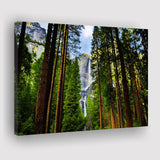 Yosemite Waterfalls behind Sequoias Canvas Prints Wall Art Decor - Paiting Canvas, Art Prints, Wall Decor, For Sale