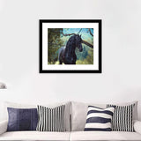 Young Friesian Stallion - Art Prints, Framed Prints, Wall Art Prints, Frame Art