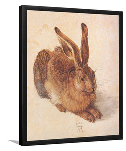 Young Hare By Albrecht D?er-Art Print,Frame Art,Plexiglass Cover