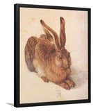 Young Hare By Albrecht D?er-Art Print,Frame Art,Plexiglass Cover