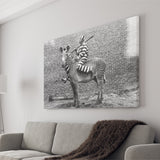 Zebra Prison Break Black And White Print, Comic Criminal Canvas Prints Wall Art Home Decor