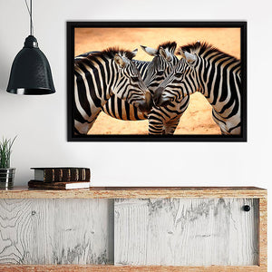 Zebra Canvas Wall Art - Framed Art, Prints For Sale, Painting For Sale, Framed Canvas, Painting Canvas