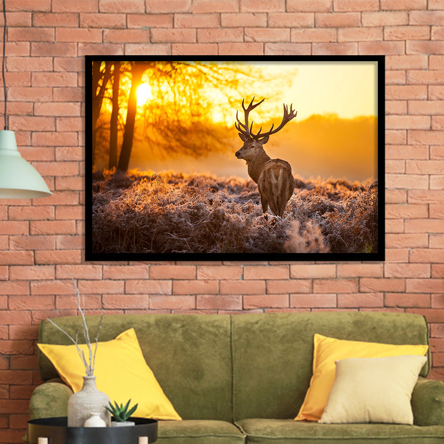 Beautiful Deer In Sunset Framed Art Prints Wall Decor - Painting Prints,Wall Art, Framed Picture,For Sale