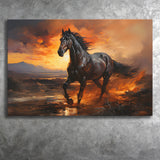 Black Horse Running In The Sunset V1 Canvas Prints Wall Art Home Decor, Painting Canvas, Living Room Wall Decor