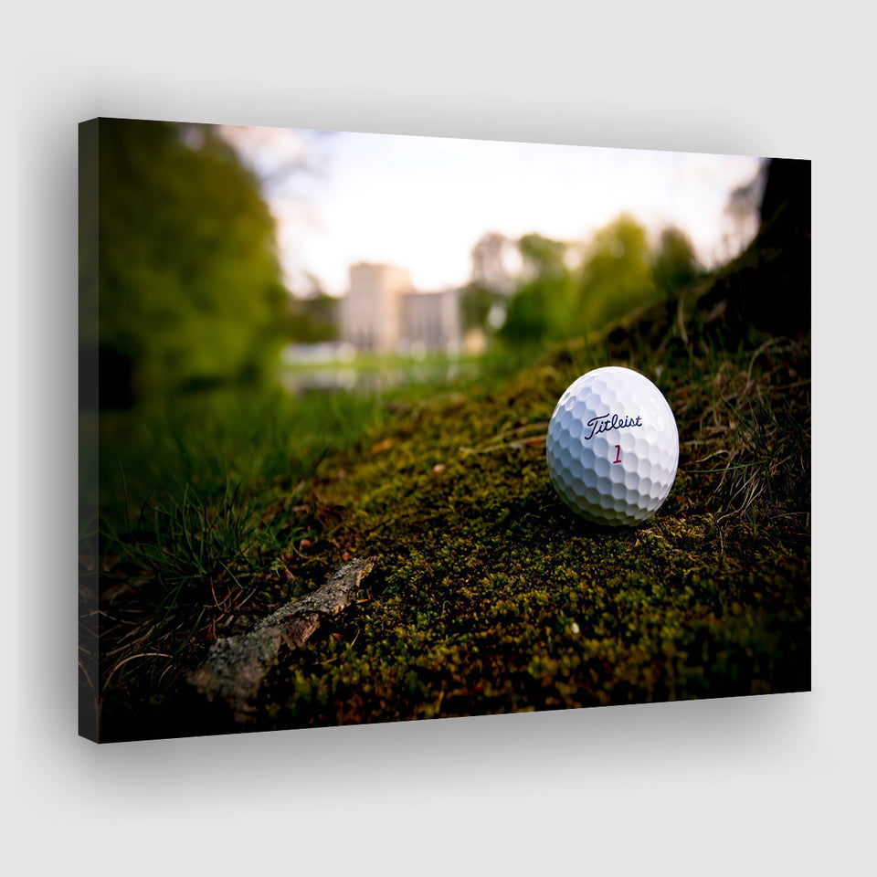 Golf Ball In Dirt Canvas Prints Wall Art - Painting Canvas, Art Prints, Wall Decor