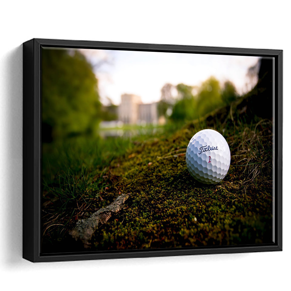 Golf Ball In Dirt Framed Canvas Prints Wall Art - Painting Canvas, Floating Frame, Wall Decor