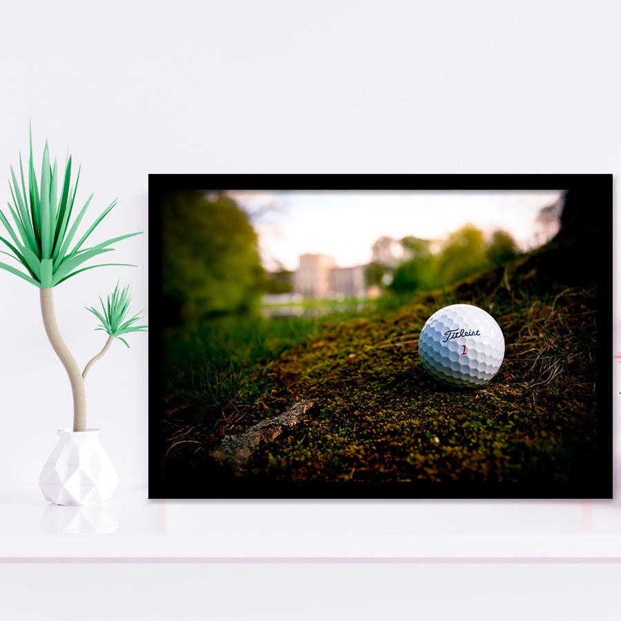 Golf Ball In Dirt Framed Art Prints Wall Art Decor - Painting Prints, Framed Picture