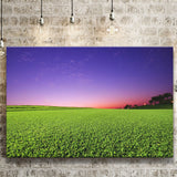 Golf Course Grass  Purple Sunset Canvas Prints Wall Art - Painting Canvas, Art Prints, Wall Decor