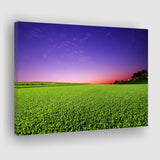 Golf Course Grass  Purple Sunset Canvas Prints Wall Art - Painting Canvas, Art Prints, Wall Decor