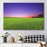 Golf Course Grass  Purple Sunset Canvas Prints Wall Art - Painting Canvas, Art Prints, Wall Decor