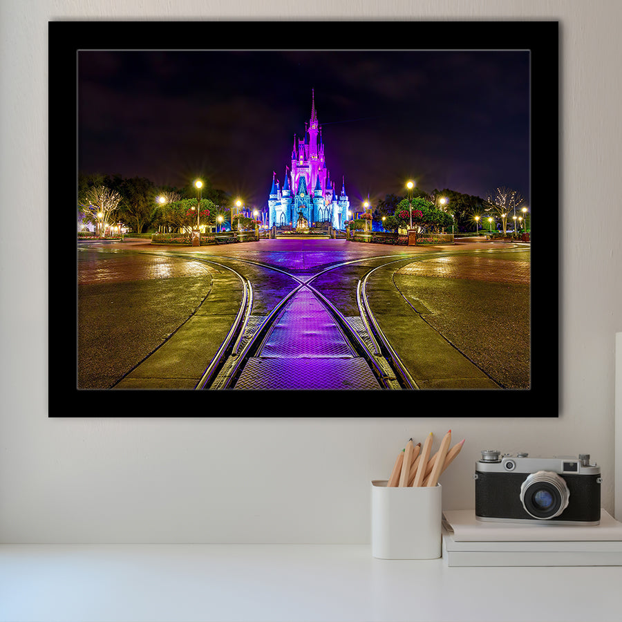 The Beautiful Scene Of Cinderella Castle Framed Art Prints Wall Decor - Painting Prints,Wall Art, Framed Picture,For Sale
