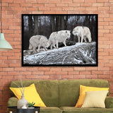 Three Wolf Print Gray Color Framed Art Prints Wall Decor - Painting Art,Framed Picture,For Sale, Ready to hang
