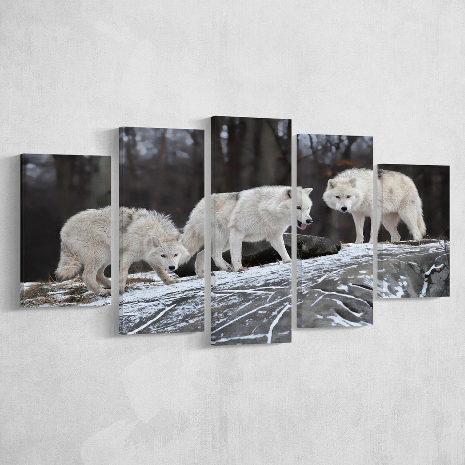 Three Wolf Print Gray Color Large Canvas Prints Multi Panels Wall Art Prints Home Decor